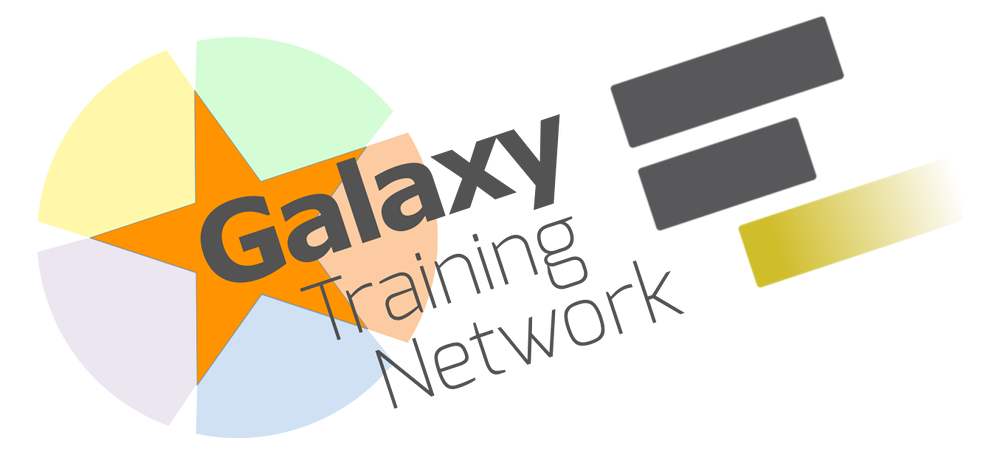 The Galaxy Training Network logo, a colorful star and three bars representing processes